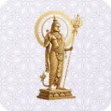 Common items shipped from India including spices, sweets, clothes, medicines and household products via international courier